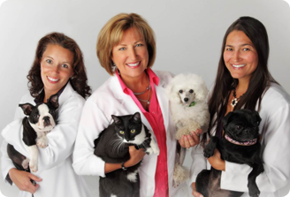 Pet Behavioral Medicine and Counseling