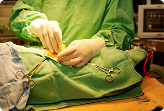 Veterinary Surgery
